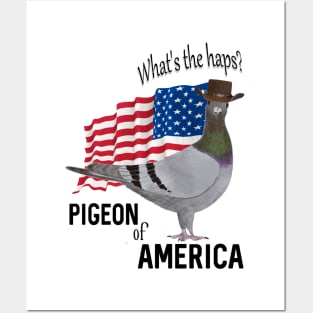 Pigeon of America Posters and Art